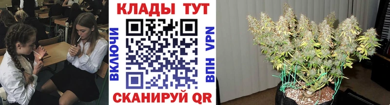 Купить наркотики сайты Кстово ГАШИШ  MDMA  Cocaine  АМФЕТАМИН  Бошки Шишки  МЕФ  A-PVP 