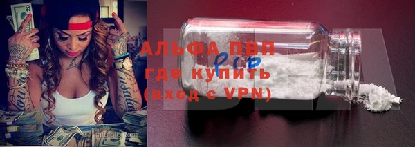 хмурый Белокуриха