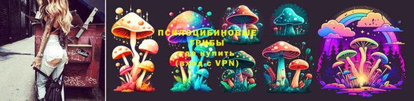 дживик Беломорск