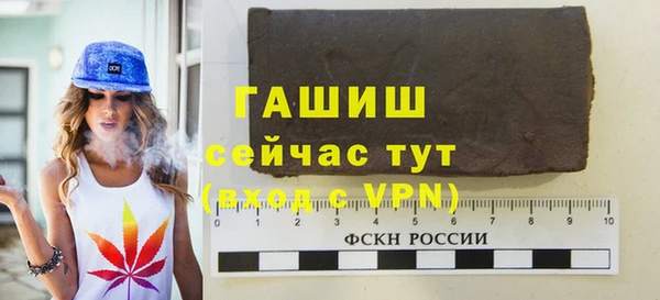 хмурый Белокуриха