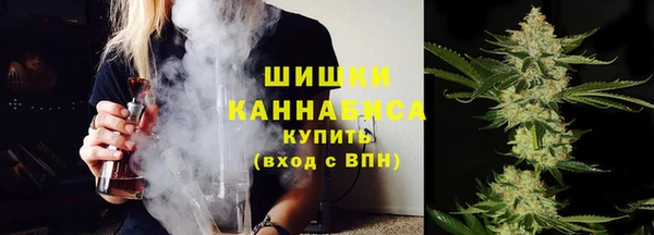 хмурый Белокуриха