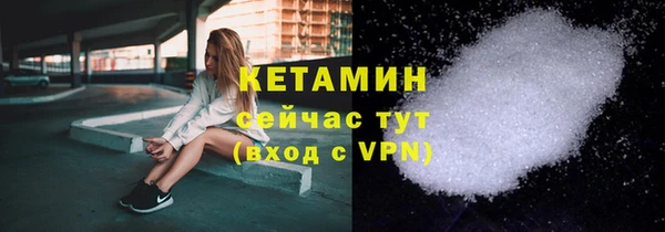 хмурый Белокуриха
