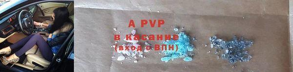 хмурый Белокуриха