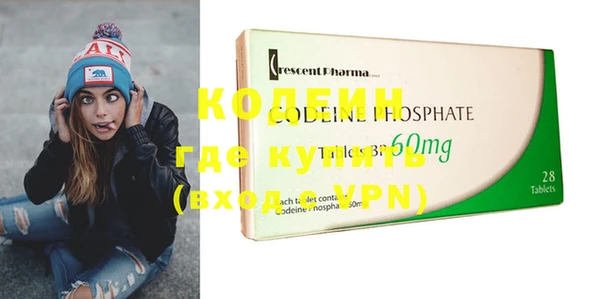 хмурый Белокуриха
