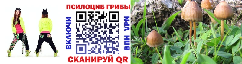 где купить наркоту  Кстово  Псилоцибиновые грибы ЛСД 